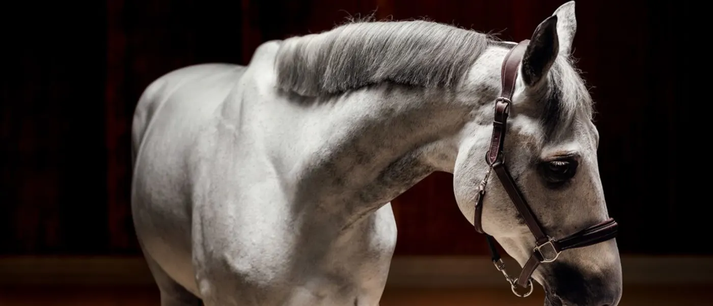 3f013b8a918377e5e4701734263f99d9fd3e30cc-1230×518