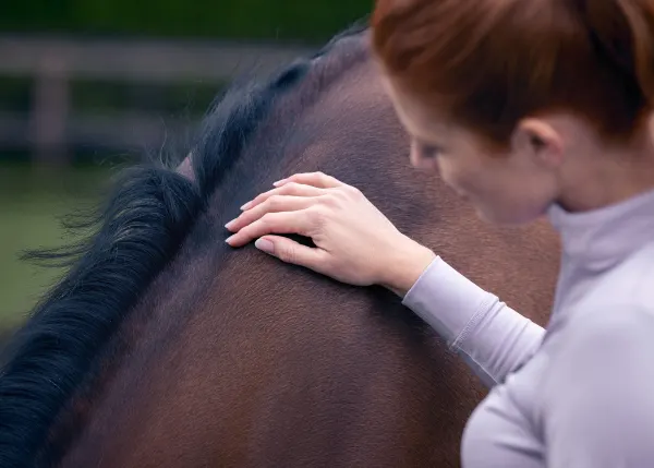 82b183e0bf5c470e73b4509e2a7d15cc35f310ad-5322×3802