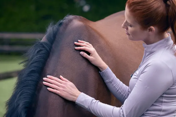 a35e904915bb4e76ad06bbcce0aafa1f9c44bb32-5654×3769